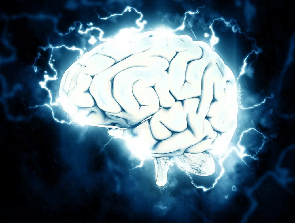 brain health benefits