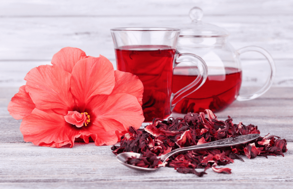 The Top 6 Benefits Of Hibiscus And Why You Should Try It