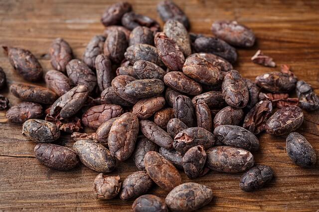 cacao bean antioxidants