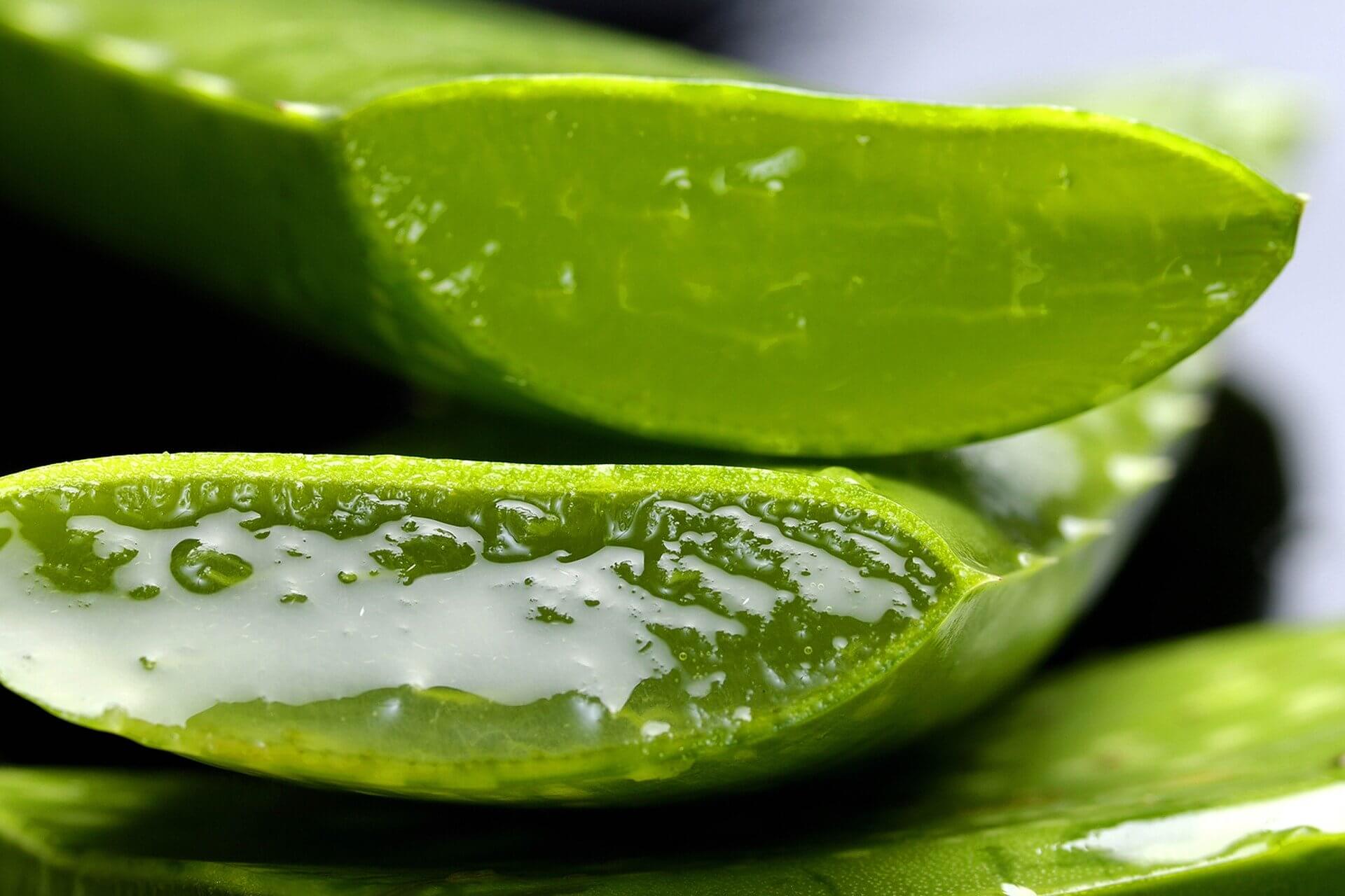 benefits of aloe vera