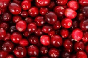 common antioxidant rich foods cranberries