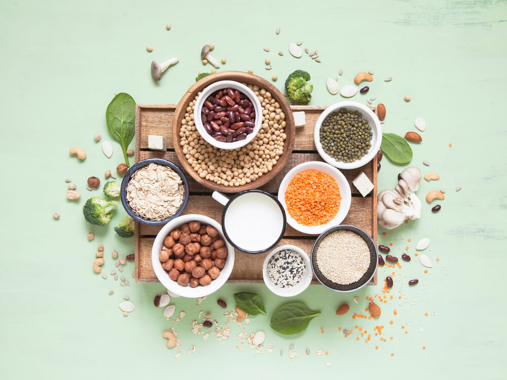 15 best plant based proteins