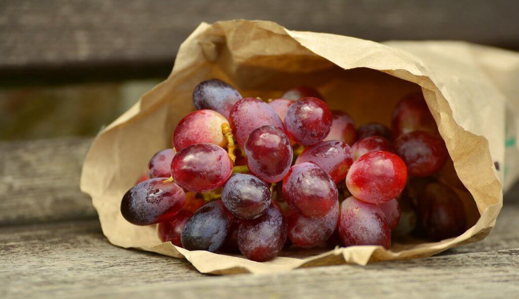 grapes with benefits of resveratrol