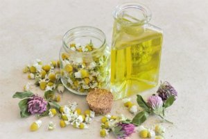 health benefits of chamomile apignein