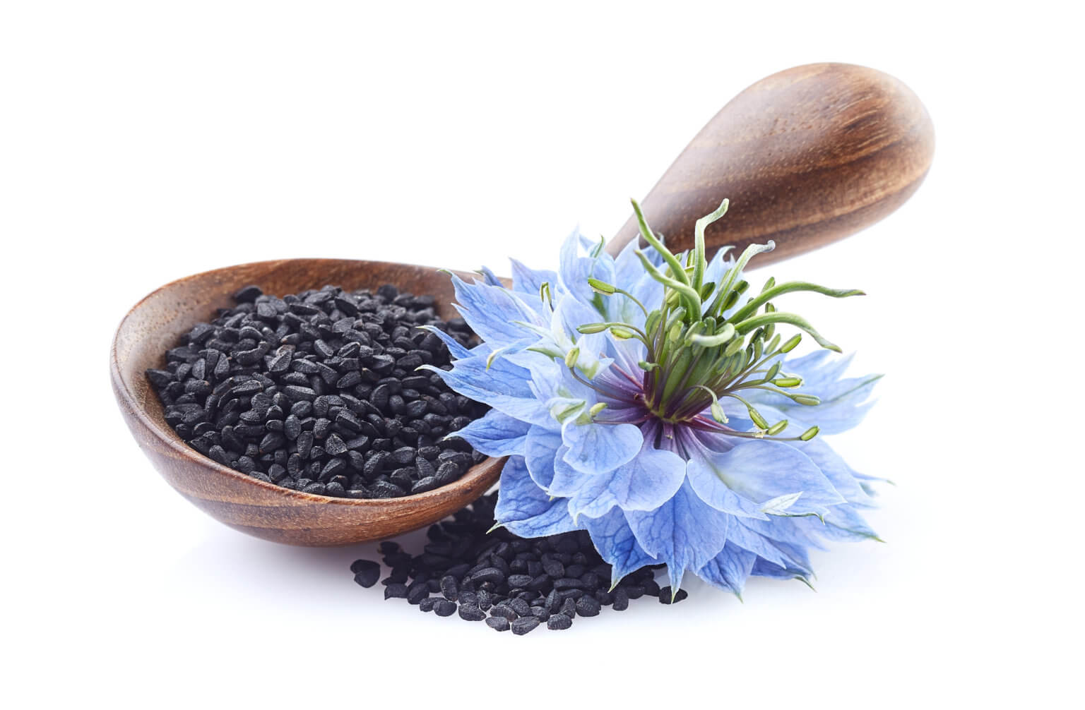 7 Surprising Benefits of Black Cumin Seed Oil The Art of AntiAging