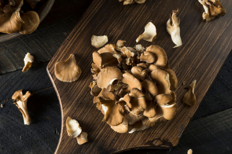 8 Powerful Benefits of Maitake Mushroom The Shroom King The Art of