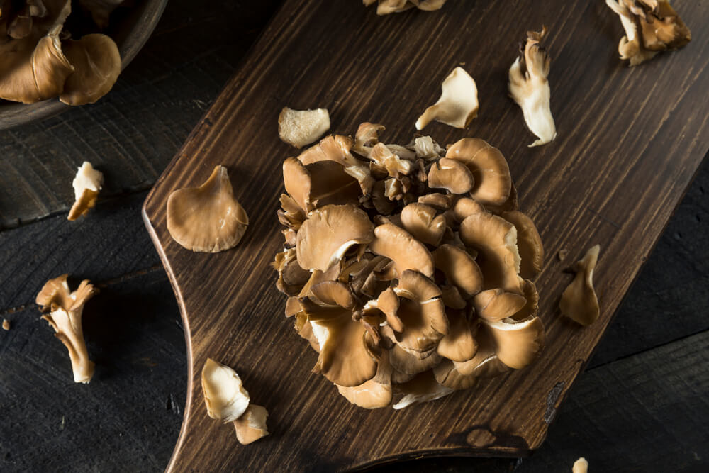 8 Powerful Benefits of Maitake Mushroom The Shroom King The Art of