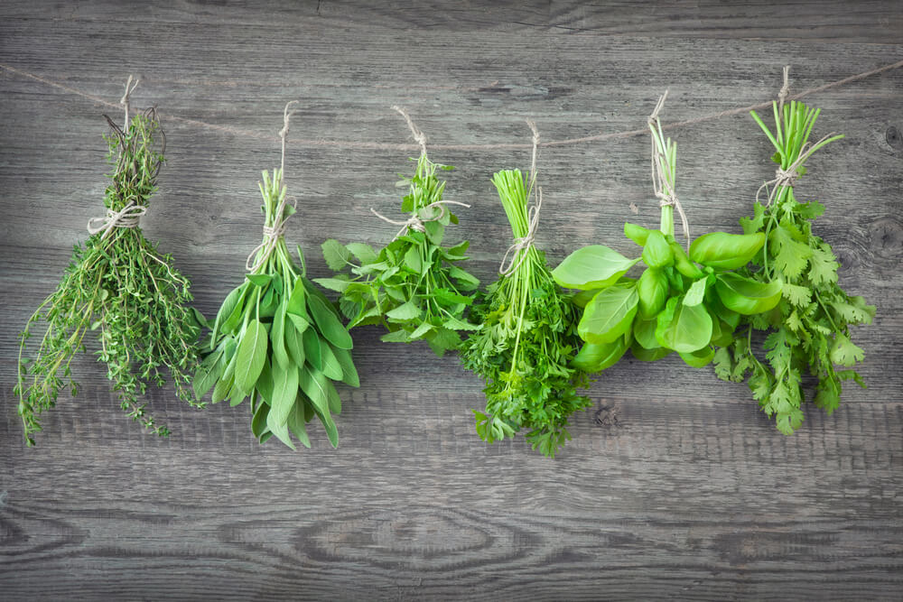 easy herbs to grow