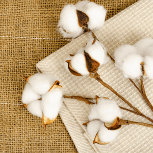 organic cotton fabric 