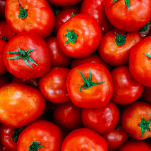 red tomatoes 