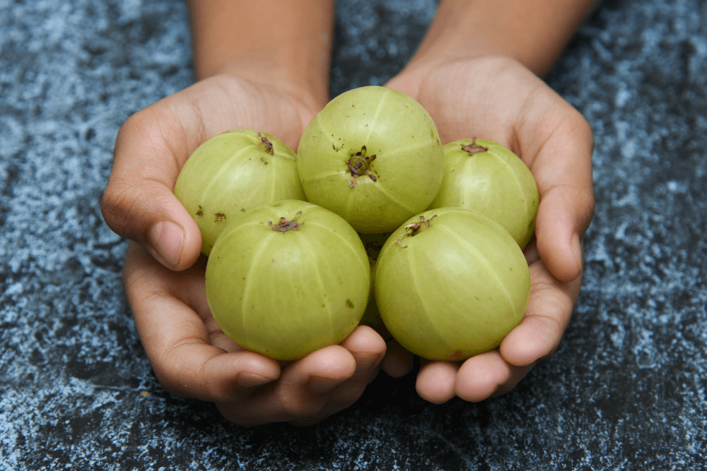 Indian Gooseberry