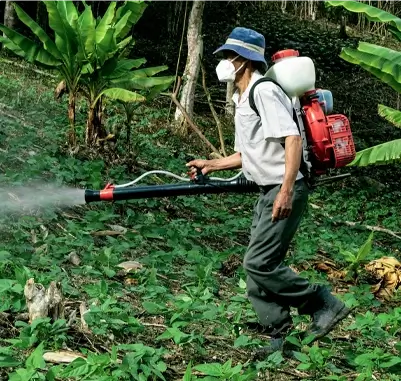 man spraying chemicals on foilage