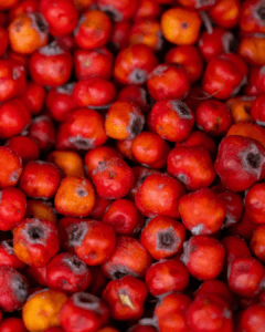 Hawthorne berry for heart