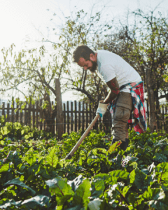 Organic Farming