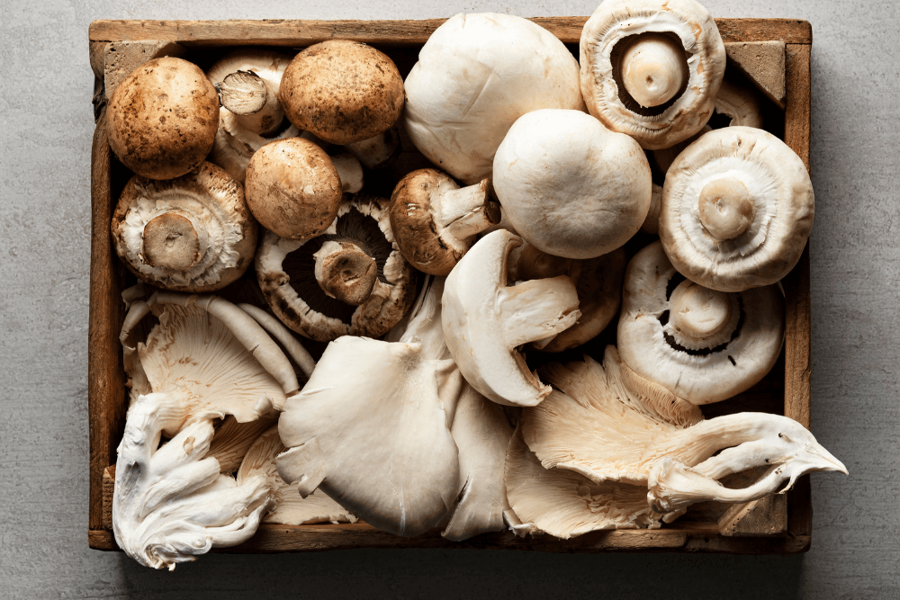 Healthiest Mushrooms