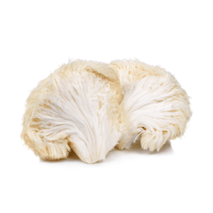 Lion's Main Mushrooms