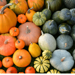 Squash for bone health