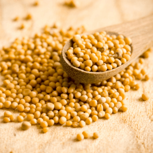 Mustard seed
