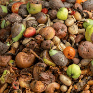 Food waste 