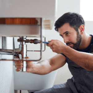Stop Mold From Growing