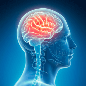 microplastics in brain 