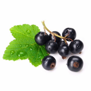 Black currants