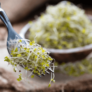 Broccoli sprouts