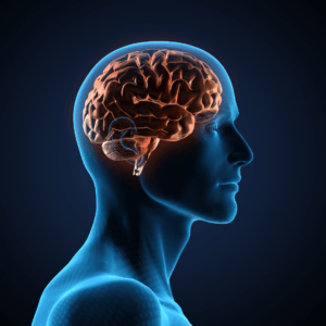 Brain Fog Vagus Nerve