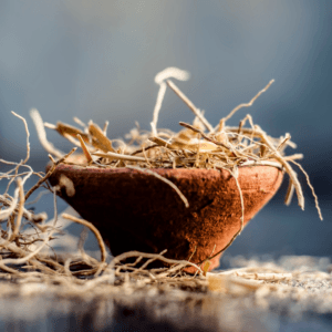 Vetiver Essential Oil