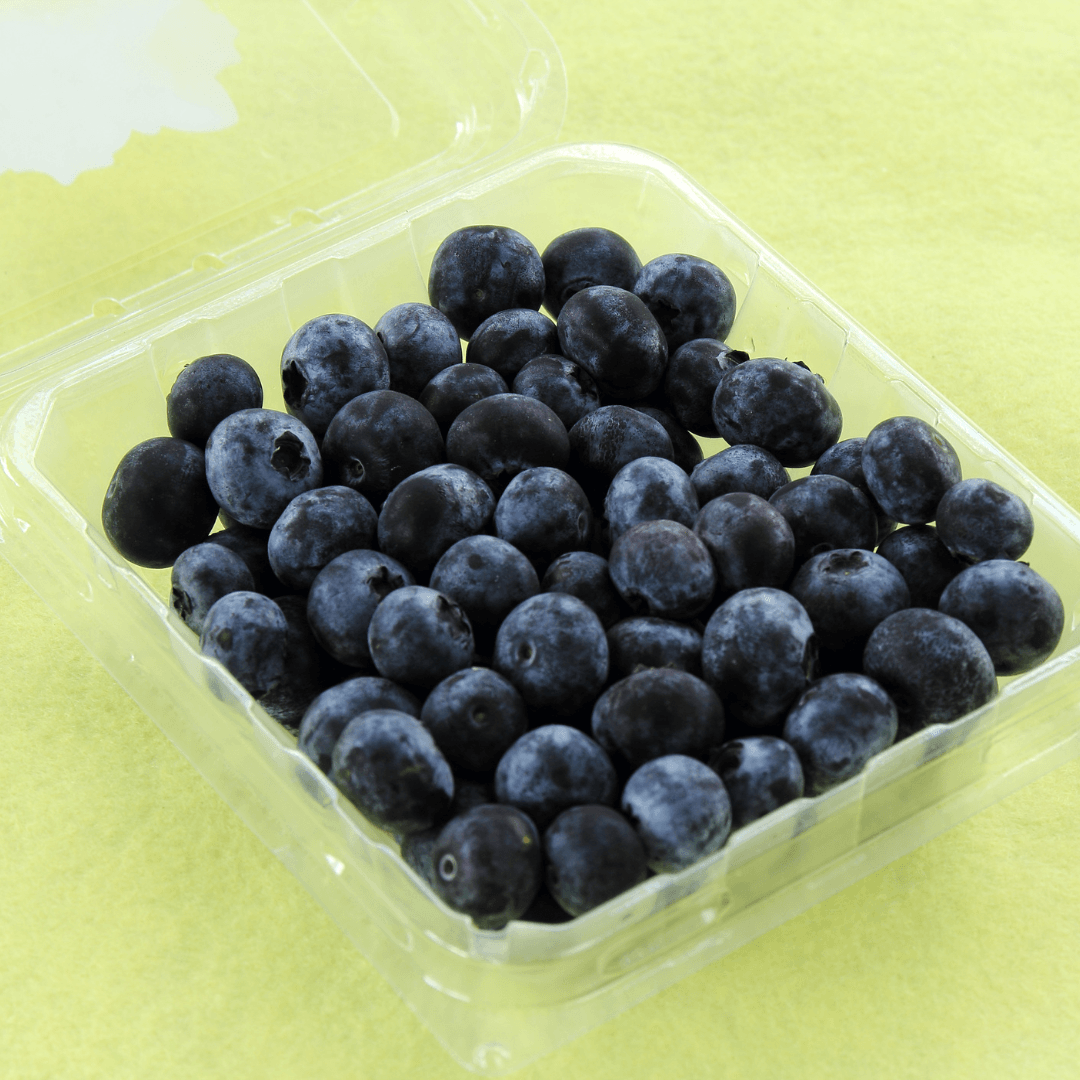 Cultivated Blueberries