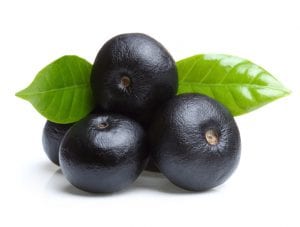 aÃ§aÃ­ berry health benefits