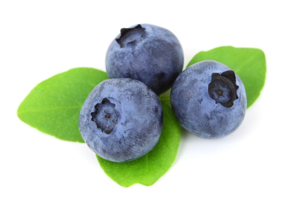 blueberries healthy carbs