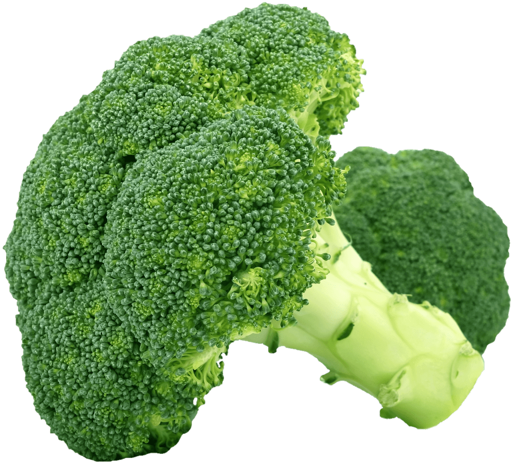 healthy carbs broccoli