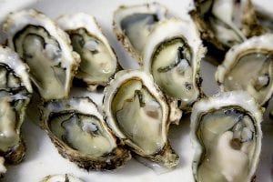 oysters anti-aging