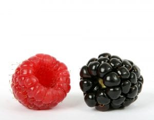 raspberry blackberry anti-aging