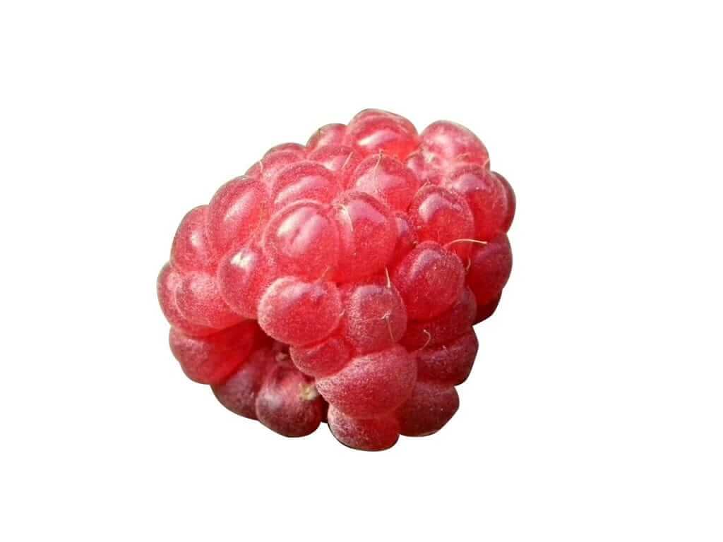 raspberry natural allergy relievers