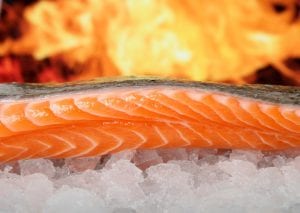salmon anti-aging